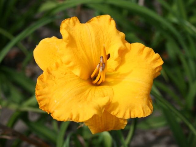 Jerusalem
